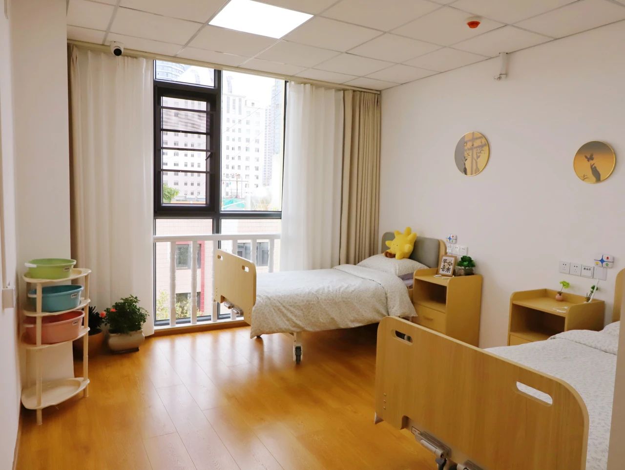 1729473427550548.jpg 8.jpg